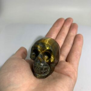 Gold Tiger Eye Skull