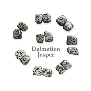 Dalmatian Jasper Tumbled